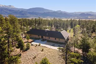 32781 County Rd 368A, Buena Vista, CO 81211 - Photo 41