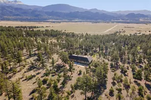 32781 County Rd 368A, Buena Vista, CO 81211 - Photo 43