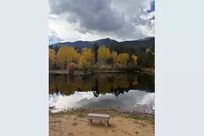 32781 County Road 368A, Buena Vista, CO 81211 - Photo 47
