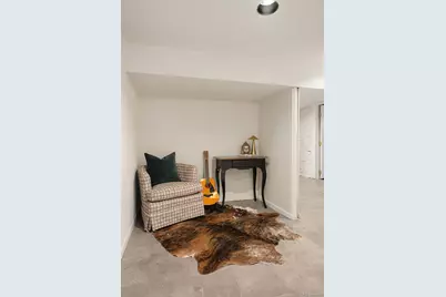 223 N Pearl Street, Denver, CO 80203 - Photo 23