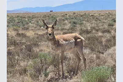 Lot 20 Gallup Trail, San Luis, CO 81152 - Photo 3