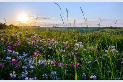 2937 Keep Drive, Sedalia, CO 80135 - Photo 5