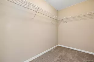 10055 Hough Point, Parker, CO 80134 - Photo 17