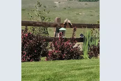 17897 W 87th Avenue, Arvada, CO 80007 - Photo 29