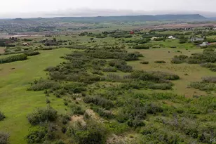 770 Hier Ln, Castle Rock, CO 80109 - Photo 5