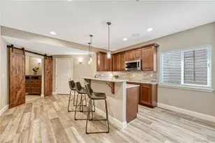 19382 Dunraven St, Parker, CO 80134 - Photo 31