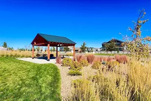 18185 Prince Hl Cir, Parker, CO 80134 - Photo 37