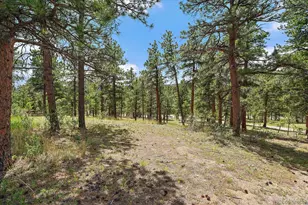 31721 Hwy 72, Golden, CO 80403 - Photo 7