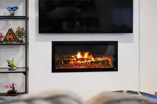 8037 Sterling Ranch Ave, Littleton, CO 80125 - Photo 13