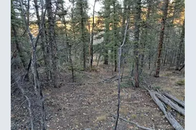 805 Longbow Drive, Como, CO 80432 - Photo 37