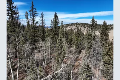 805 Longbow Drive, Como, CO 80432 - Photo 9