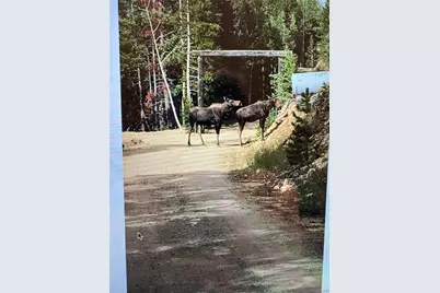 1430 Lower Travis Gulch Road, Black Hawk, CO 80422 - Photo 35