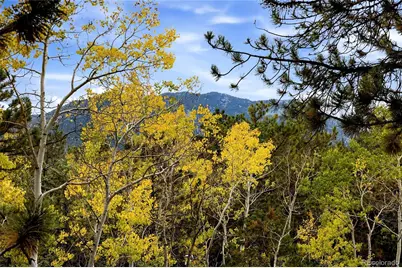 32187 Sylvan Road, Golden, CO 80403 - Photo 23