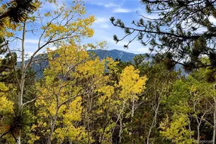 32187 Sylvan Rd, Golden, CO 80403 - Photo 23