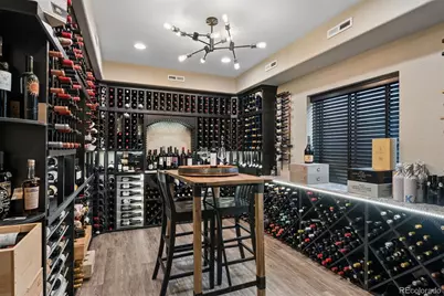 530 Moonmist Court, Highlands Ranch, CO 80126 - Photo 31