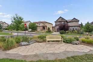 530 Moonmist Ct, Highlands Ranch, CO 80126 - Photo 39