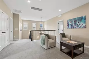 530 Moonmist Ct, Highlands Ranch, CO 80126 - Photo 17