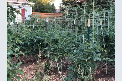 3630 N Fillmore Street, Denver, CO 80205 - Photo 37