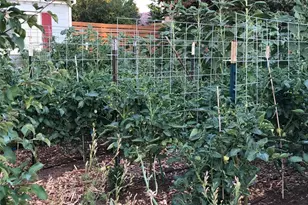 3630 N Fillmore St, Denver, CO 80205 - Photo 37