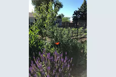 3630 N Fillmore Street, Denver, CO 80205 - Photo 45