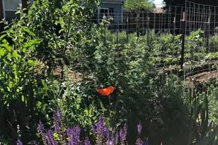 3630 N Fillmore St, Denver, CO 80205 - Photo 45