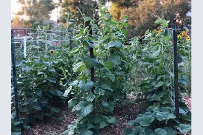 3630 N Fillmore Street, Denver, CO 80205 - Photo 39