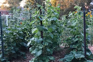 3630 N Fillmore St, Denver, CO 80205 - Photo 39