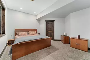 3048 Starling Ct, Castle Rock, CO 80109 - Photo 23