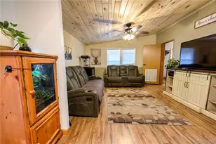 606 Shannon Rd, Cotopaxi, CO 81223 - Photo 11