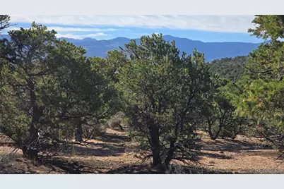 Lot 3873 Shinn Road, Fort Garland, CO 81133 - Photo 1
