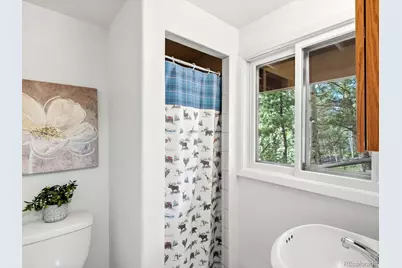 11742 Braun Way, Conifer, CO 80433 - Photo 35
