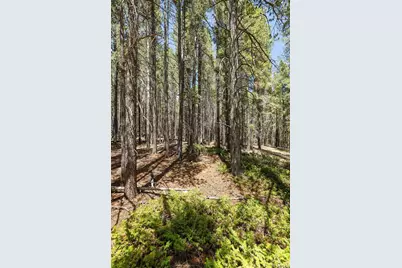 0 Spruce Way, Nederland, CO 80466 - Photo 19