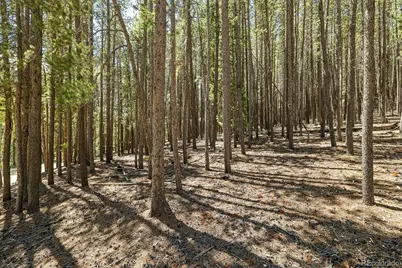 0 Spruce Way, Nederland, CO 80466 - Photo 17