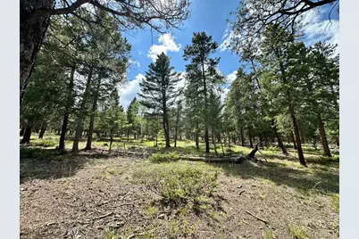 30385 National Forest Drive, Buena Vista, CO 81211 - Photo 13