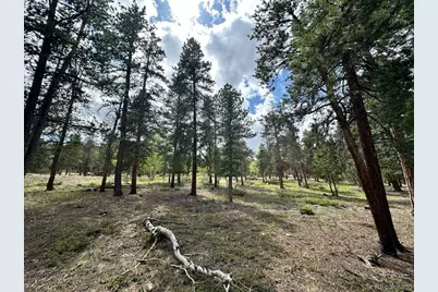 30385 National Forest Drive, Buena Vista, CO 81211 - Photo 17