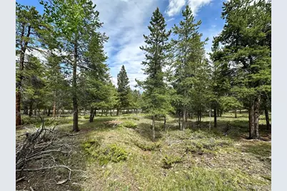 30385 National Forest Drive, Buena Vista, CO 81211 - Photo 5