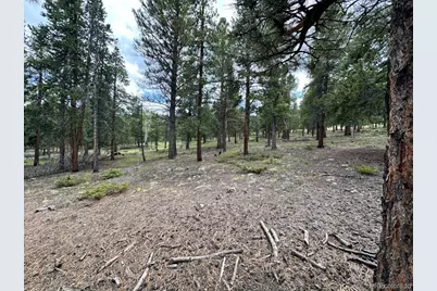 30385 National Forest Drive, Buena Vista, CO 81211 - Photo 11