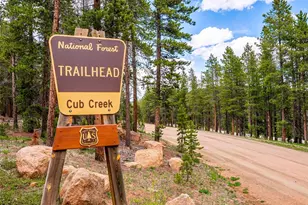 13623 S Wamblee Valley Rd, Conifer, CO 80433 - Photo 43