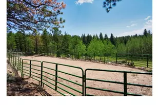 1447 Coyote Cir, Black Hawk, CO 80422 - Photo 47