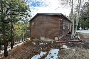 1534 Roland Dr, Bailey, CO 80421 - Photo 5