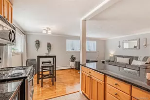 1151 N Marion St, Denver, CO 80218 - Photo 11