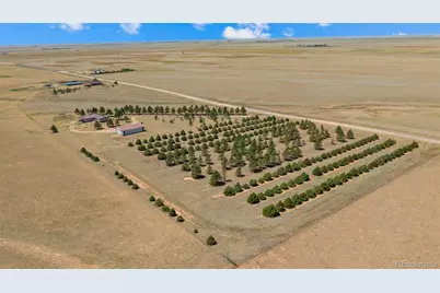 20402 County Road 2, Rush, CO 80833 - Photo 39
