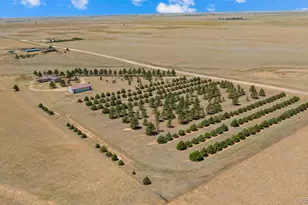 20402 Co Rd 2, Rush, CO 80833 - Photo 39