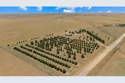 20402 County Road 2, Rush, CO 80833 - Photo 37