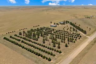 20402 Co Rd 2, Rush, CO 80833 - Photo 37