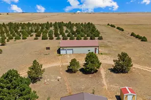 20402 Co Rd 2, Rush, CO 80833 - Photo 35