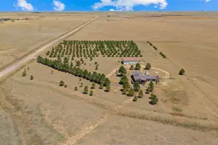 20402 Co Rd 2, Rush, CO 80833 - Photo 41