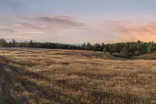 11008 Sunset Oaks Pl, Franktown, CO 80116 - Photo 1