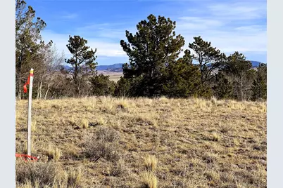 620 Wagon Wheel Road, Hartsel, CO 80449 - Photo 13