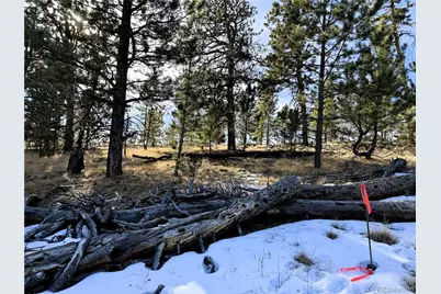 620 Wagon Wheel Road, Hartsel, CO 80449 - Photo 9